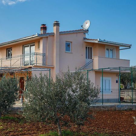 Guest House Pelja Plano Zewnętrze zdjęcie